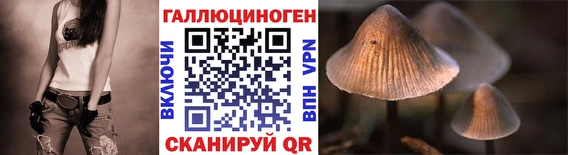 хочу   Богучар  Галлюциногенные грибы Psilocybe 