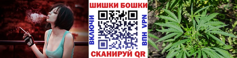 где найти   Богучар  Шишки марихуана планчик 